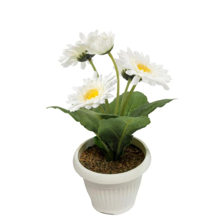 Цветок искусственный Гербера белая в кашпо Р33805Б