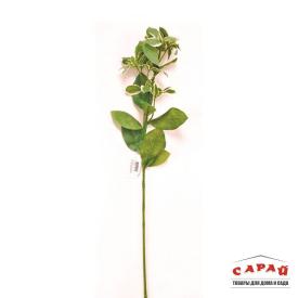 Искусственное растение Эуфорбия зеленая 221143