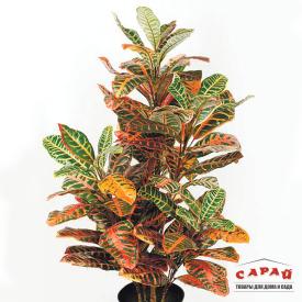 Растение искусственное Кротон 100 см