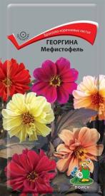 Георгина Мефистофель (ЦВ) ("1) 0,2гр.