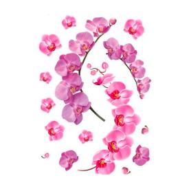 Наклейка интерьерная Декоретто Веточка орхидеи FI 4008