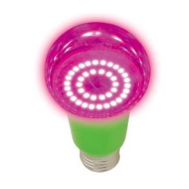 Лампа светодиодная для растений Форма A прозрачная Спектр для рассады и цветения Картон LED-A60-14W/SPSB/E27/CL PLP30WH