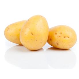Картофель семенной Джувел желтая