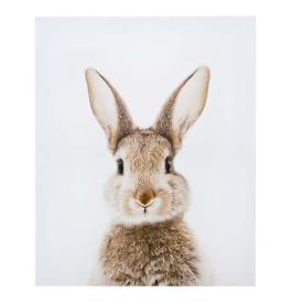 Картина-холст Н-1602S (48*39) Кролик-голова