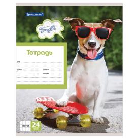 Тетрадь BRAUBERG 24листа клетка MY BEST FRIEND