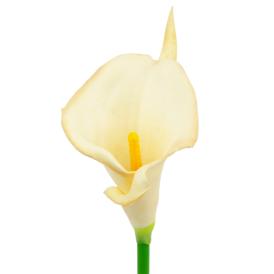 Цветок искусственный Калла белая 33 см
