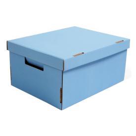 Коробка для хранения Неон голубой 370х280х180