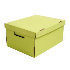 Коробка для хранения Неон салатовый 370х280х180