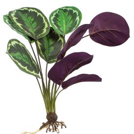 Растение искусственное Калатея с корнями 47 см зеленый