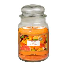 Свеча ароматизированная в банке Цитрус SER S.P.A. PTBJ010362 Petali (3)