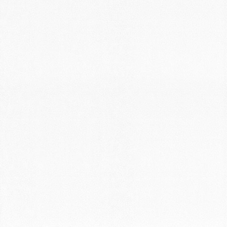 Обои 1589-11 Vilia антивандальные 1,06х10,05 м (9) Снежана  белый
