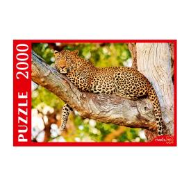 Пазлы 2000 элементов Изящный леопард на дереве