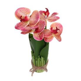 Цветочная композиция Весенняя рапсодия 19х27 см Орхидея бордовая