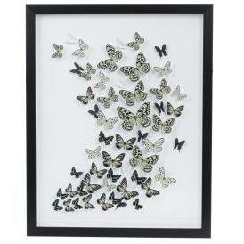 Картина-постер Бабочки 40х50х2,5 см