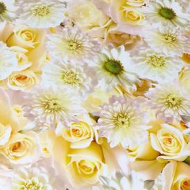 Клеенка ПВХ на нетканой основе Florista 148-00 1,4 м