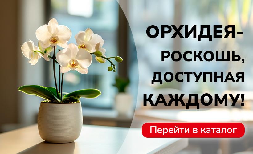 Элегантность природы