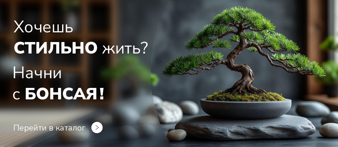 Бонсай