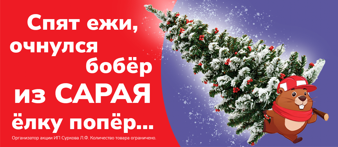 Елки со скидкой в Сарае