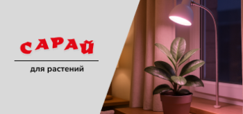 Мифы о фитолампах: какие лучше фитолампы для цветов и как не ошибиться