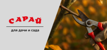 Подготовка сада к осени: честный разбор и расширенные советы