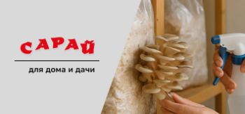 Как выращивать мицелий грибов в домашних условиях: правда, мифы и советы для новичков