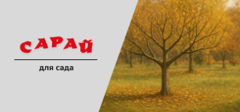 Яблоня с аккуратно обрезанной кроной на фоне осеннего сада, вокруг опавшие листья, жёлто-зелёная трава, мягкое естественное освещение